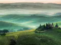 Dolci colline verdi del Val d'Orcia, con una casa colonica in cima a una collina e cipressi. Un paesaggio da cartolina, uno dei tanti punti panoramici mozzafiato.