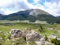 Vaste praterie verdi e rocce bianche nel **Parco Nazionale del Pollino**, con una foresta scura che sale verso un monte imponente sotto un cielo nuvoloso.