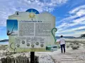 La spiaggia di Porto Pino, con le sue dune, è un ecosistema prezioso da proteggere. Segui le indicazioni per preservarla.