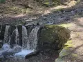 Cascata artificiale nella foresta di Vallombrosa, con un sentiero ghiaioso e alberi muschiosi.