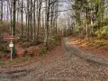 Sentiero nel bosco autunnale al passo della Futa, con un cartello che indica "Strada Romana 0,5".