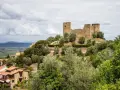 Rovine di un castello dominano il **Scarlino centro storico**, circondato da ulivi e case con tetti rossi.