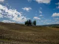 Colline arate nel Val d'Orcia, con un gruppo di cipressi che si stagliano contro il cielo azzurro e nuvoloso.