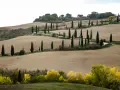 Strada cipressi Val d'Orcia: dolci colline toscane con filari di cipressi che disegnano curve sinuose su campi arati.