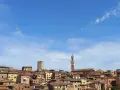 Panoramica di Siena con la Torre del Mangia che svetta tra i tetti rossi, sotto un cielo azzurro con nuvole bianche.