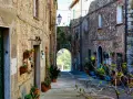 Un vicolo suggestivo a Monteverdi Marittimo, con case in pietra, piante in vaso e un arco che si apre su un paesaggio verde.