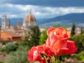 Rosa arancione in primo piano, con il Duomo di Firenze e le colline sullo sfondo. Un angolo di paradiso nel giardino delle rose firenze.