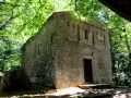 Antica pieve in pietra nel bosco Isabella, Radicofani. La luce filtra tra gli alberi illuminando la facciata.