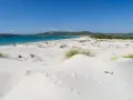 Dune di sabbia bianca e mare turchese ad Ansedonia. Un paesaggio da sogno, con vegetazione sparsa e un cielo azzurro intenso.