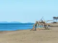 Spiaggia selvaggia nel Parco Regionale della Maremma con un rifugio di legni sulla sabbia e il mare blu all'orizzonte.