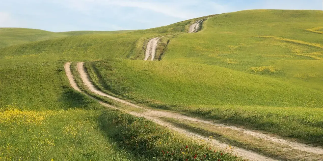 Strade bianche si snodano tra dolci colline verdi e fiorite, un classico scorcio del Val d'Orcia sotto un cielo azzurro.