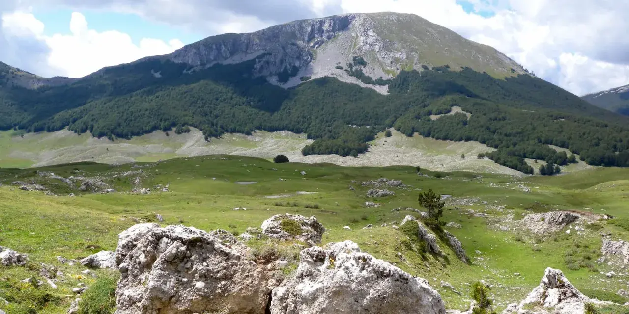 Vaste praterie verdi e rocce bianche nel **Parco Nazionale del Pollino**, con una foresta scura che sale verso un monte imponente sotto un cielo nuvoloso.