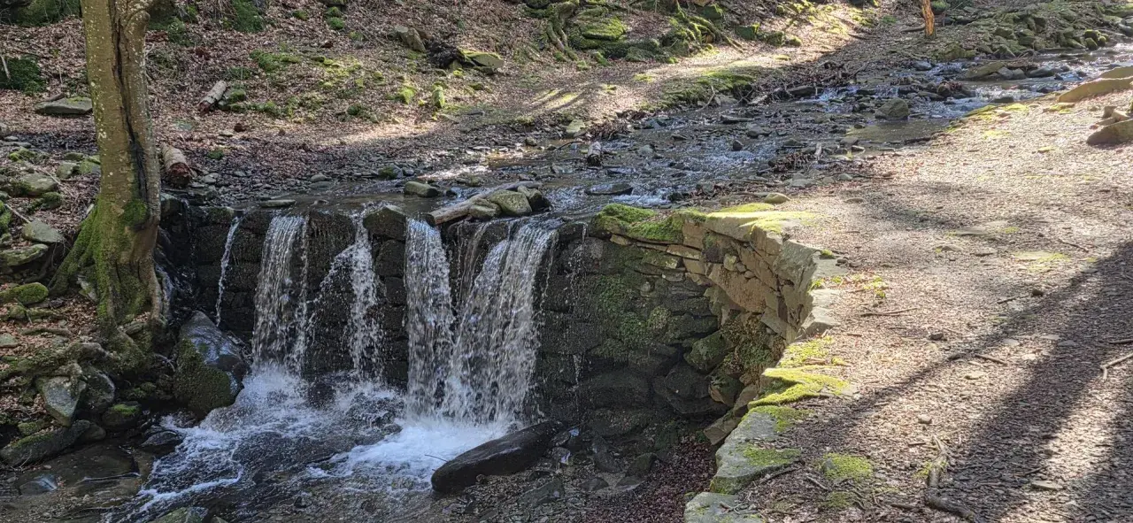 Cascata artificiale nella foresta di Vallombrosa, con un sentiero ghiaioso e alberi muschiosi.