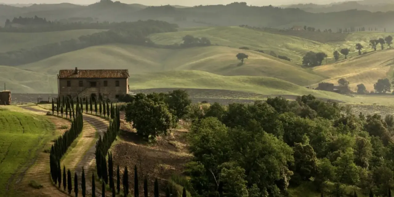 Un casale in pietra con un viale di cipressi si staglia sulle dolci colline del Val di Merse, avvolte da una leggera foschia mattutina.