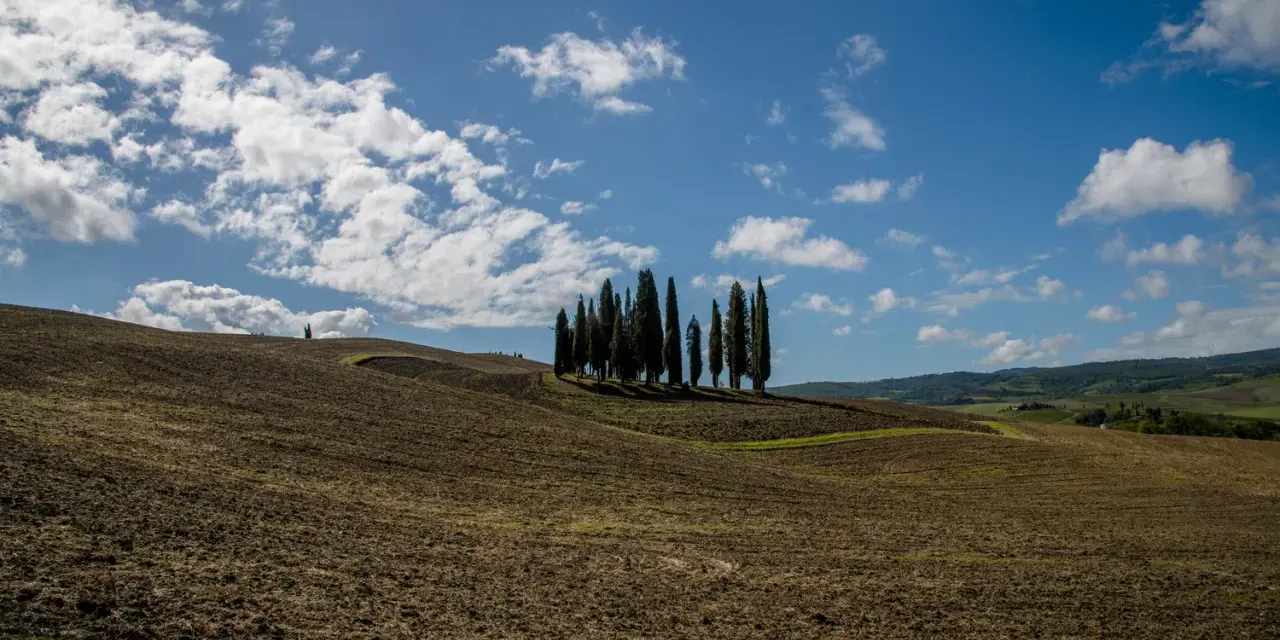 Colline arate nel Val d'Orcia, con un gruppo di cipressi che si stagliano contro il cielo azzurro e nuvoloso.