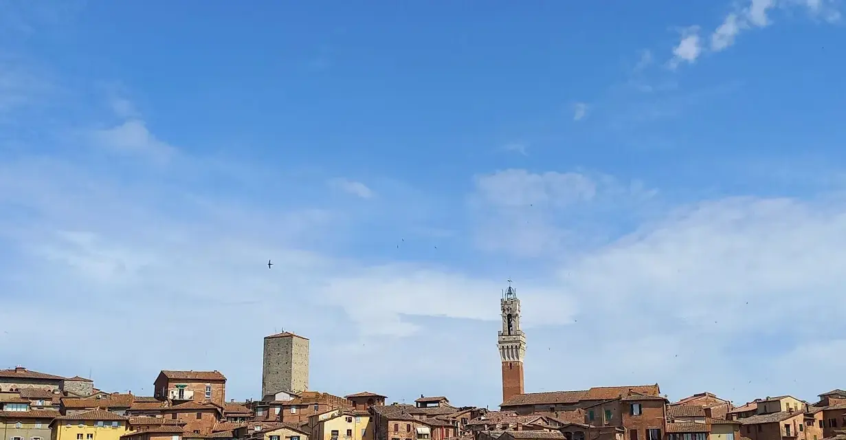 Panoramica di Siena con la Torre del Mangia che svetta tra i tetti rossi, sotto un cielo azzurro con nuvole bianche.
