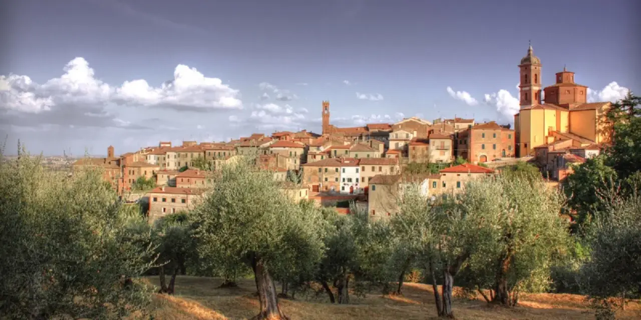 Il centro storico di Sinalunga si staglia su una collina, circondato da ulivi secolari sotto un cielo azzurro con nuvole bianche.