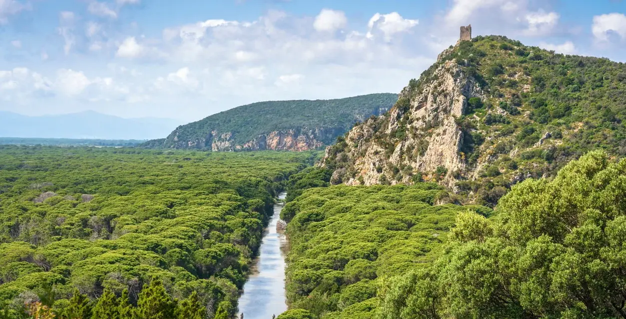 Un fiume serpeggia tra la fitta vegetazione del Parco dell'Uccellina, con una torre antica che domina la collina rocciosa.