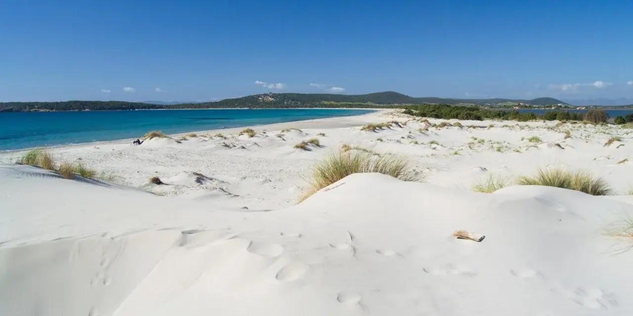 Dune di sabbia bianca e mare turchese ad Ansedonia. Un paesaggio da sogno, con vegetazione sparsa e un cielo azzurro intenso.