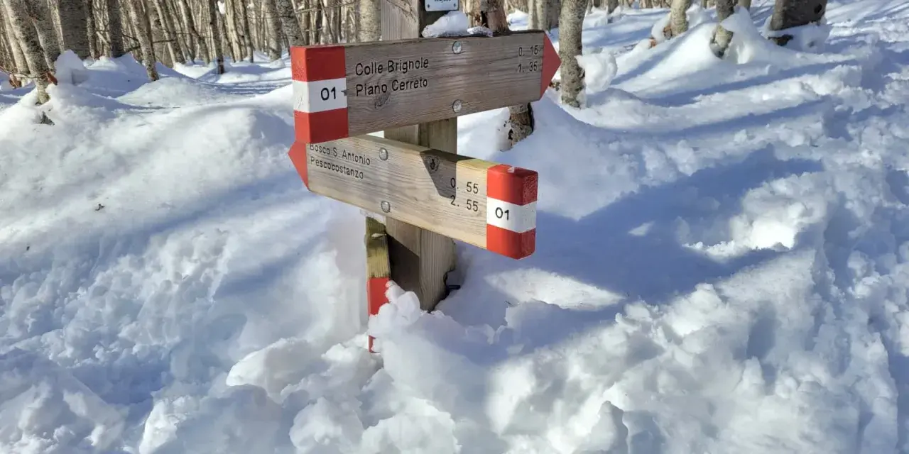 Segnavia nel bosco di Sant'Antonio, coperto di neve. Indica Colle Brignole e Pescocostanzo.