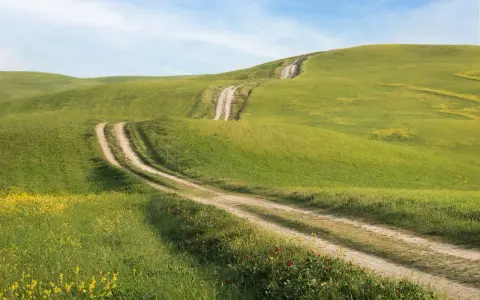 Strade bianche si snodano tra dolci colline verdi e fiorite, un classico scorcio del Val d'Orcia sotto un cielo azzurro.