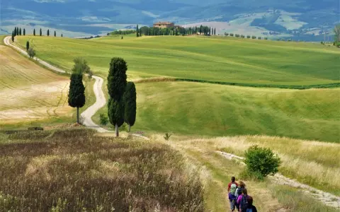 Sentiero tortuoso nel Val d'Orcia, con colline verdi, cipressi e un casale in lontananza. Una mappa ideale per un'escursione.