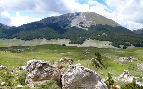 Vaste praterie verdi e rocce bianche nel **Parco Nazionale del Pollino**, con una foresta scura che sale verso un monte imponente sotto un cielo nuvoloso.