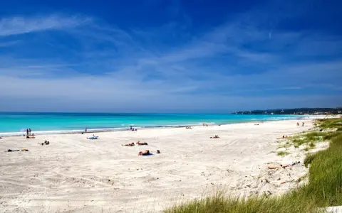 Vada white beach, con sabbia chiara e mare turchese, bagnanti rilassati sotto il sole.