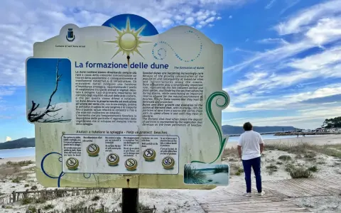 La spiaggia di Porto Pino, con le sue dune, è un ecosistema prezioso da proteggere. Segui le indicazioni per preservarla.