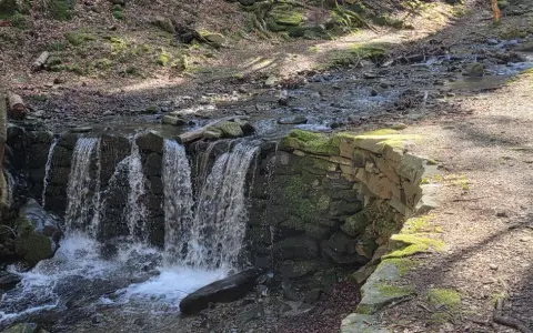 Cascata artificiale nella foresta di Vallombrosa, con un sentiero ghiaioso e alberi muschiosi.