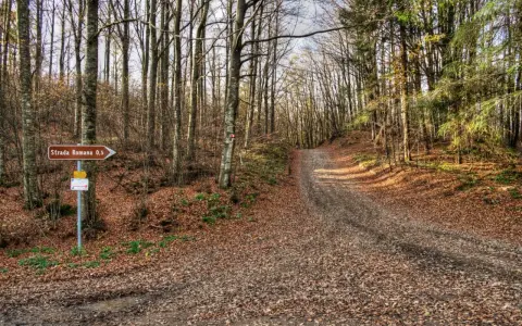 Sentiero nel bosco autunnale al passo della Futa, con un cartello che indica "Strada Romana 0,5".