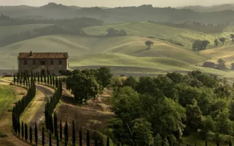 Un casale in pietra con un viale di cipressi si staglia sulle dolci colline del Val di Merse, avvolte da una leggera foschia mattutina.