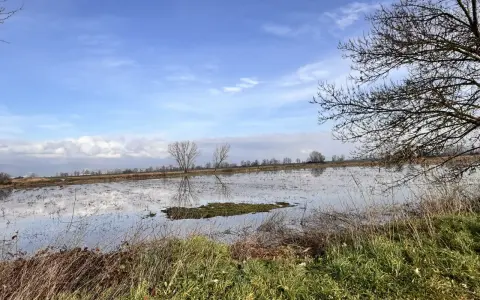 Un paesaggio con un cielo azzurro e nuvole riflesse sull'acqua. In primo piano erba secca e verde, sullo sfondo un bosco di tanali.