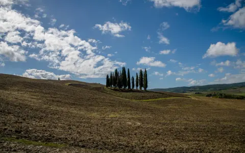 Colline arate nel Val d'Orcia, con un gruppo di cipressi che si stagliano contro il cielo azzurro e nuvoloso.