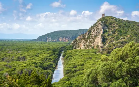Un fiume serpeggia tra la fitta vegetazione del Parco dell'Uccellina, con una torre antica che domina la collina rocciosa.