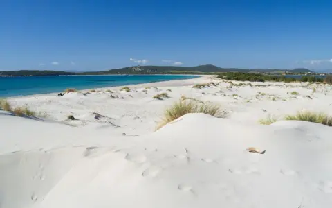 Dune di sabbia bianca e mare turchese ad Ansedonia. Un paesaggio da sogno, con vegetazione sparsa e un cielo azzurro intenso.