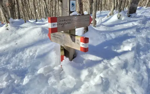 Segnavia nel bosco di Sant'Antonio, coperto di neve. Indica Colle Brignole e Pescocostanzo.