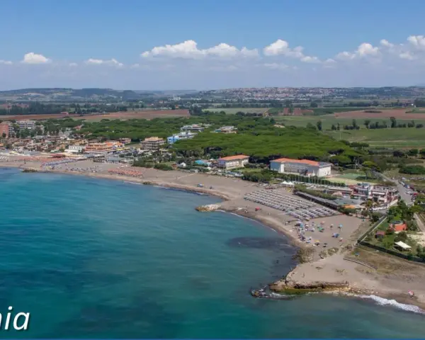 Vista aerea del lido di Tarquinia con spiaggia attrezzata, mare azzurro e pineta.