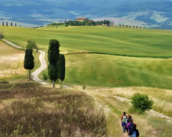 Sentiero tortuoso nel Val d'Orcia, con colline verdi, cipressi e un casale in lontananza. Una mappa ideale per un'escursione.