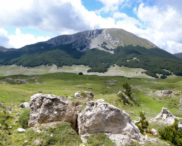 Vaste praterie verdi e rocce bianche nel **Parco Nazionale del Pollino**, con una foresta scura che sale verso un monte imponente sotto un cielo nuvoloso.