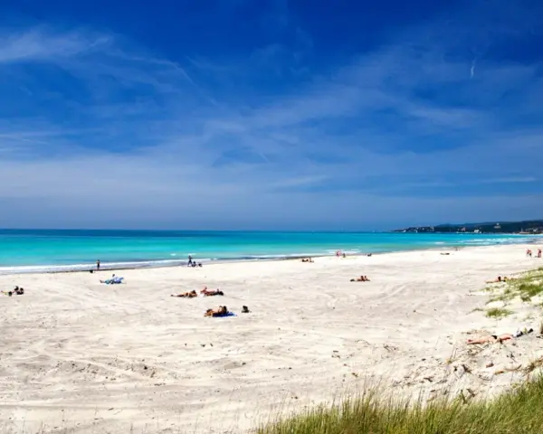 Vada white beach, con sabbia chiara e mare turchese, bagnanti rilassati sotto il sole.