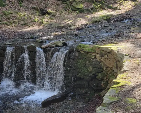 Cascata artificiale nella foresta di Vallombrosa, con un sentiero ghiaioso e alberi muschiosi.
