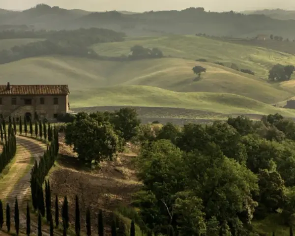 Un casale in pietra con un viale di cipressi si staglia sulle dolci colline del Val di Merse, avvolte da una leggera foschia mattutina.