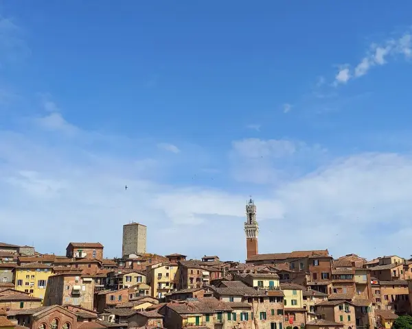 Panoramica di Siena con la Torre del Mangia che svetta tra i tetti rossi, sotto un cielo azzurro con nuvole bianche.