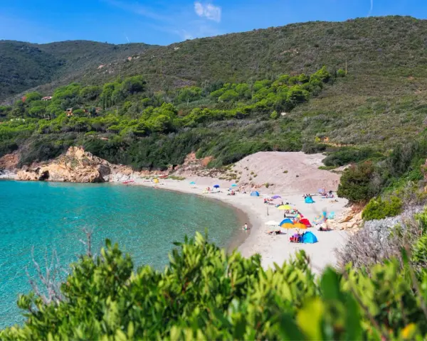 Una baia con acque cristalline e **spiagge** dell'Isola d'Elba, con ombrelloni colorati e gente che si rilassa sulla sabbia dorata.