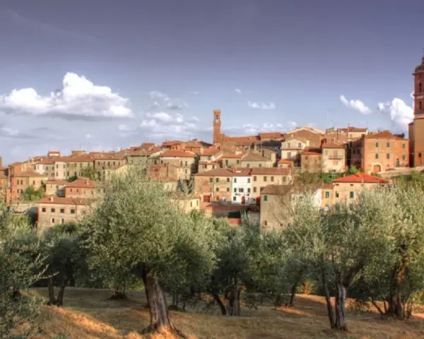 Il centro storico di Sinalunga si staglia su una collina, circondato da ulivi secolari sotto un cielo azzurro con nuvole bianche.