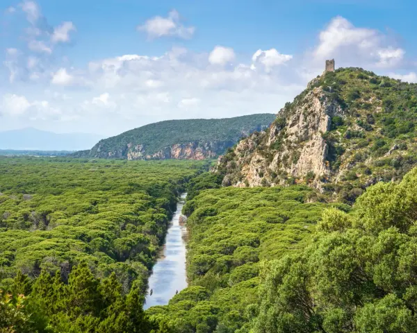 Un fiume serpeggia tra la fitta vegetazione del Parco dell'Uccellina, con una torre antica che domina la collina rocciosa.