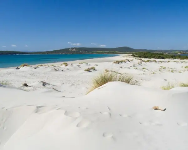 Dune di sabbia bianca e mare turchese ad Ansedonia. Un paesaggio da sogno, con vegetazione sparsa e un cielo azzurro intenso.