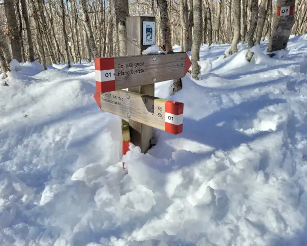 Segnavia nel bosco di Sant'Antonio, coperto di neve. Indica Colle Brignole e Pescocostanzo.