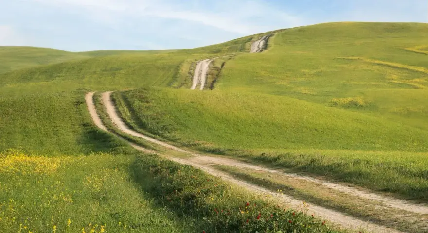 Strade bianche si snodano tra dolci colline verdi e fiorite, un classico scorcio del Val d'Orcia sotto un cielo azzurro.